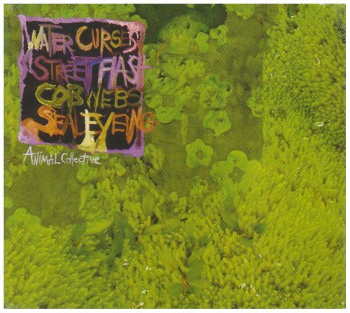 Animal Collective/Water Curses@Import-Aus